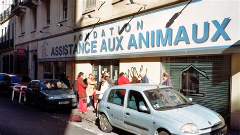Les dispensaires sont des structures médicales spécialisées pour les animaux qui ne fonctionnent qu'à l'aide de dons. Le dispensaire de Marseille de la Fondation Assistance aux ...