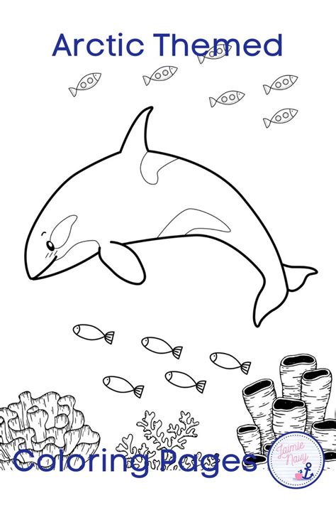 Arctic Animals Coloring Pages North Pole Themed Arctic Animals