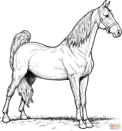 Cool Horse Coloring Pages Printable In 2020 Horse Coloring Pages