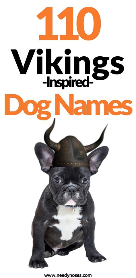 Maybe you would like to learn more about one of these? 110 Vikings Inspired Dog Names | Dog names, Boy dog names ...
