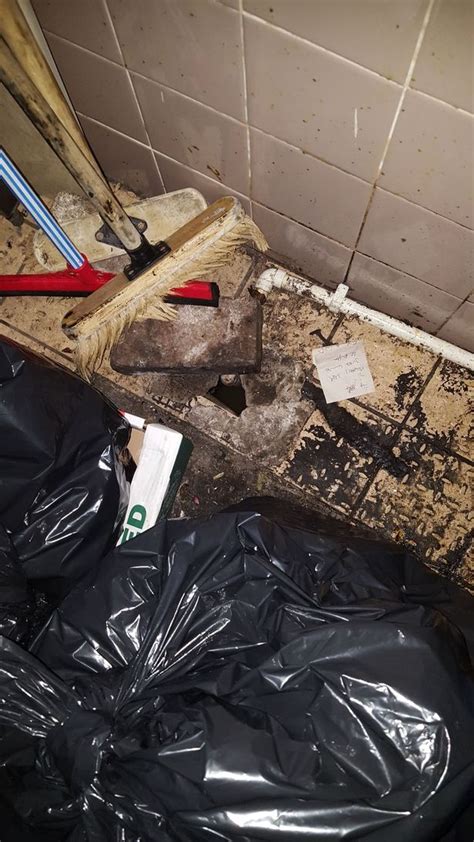 Photos Show Squalor And Filth Inside Rat Infested Restaurant Wales Online