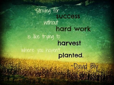 Striving For Success Without Hard Work Is Like Trying To Harvest
