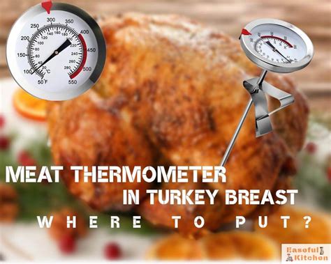 Where To Put Meat Thermometer In Turkey Breast Easeful Kitchen