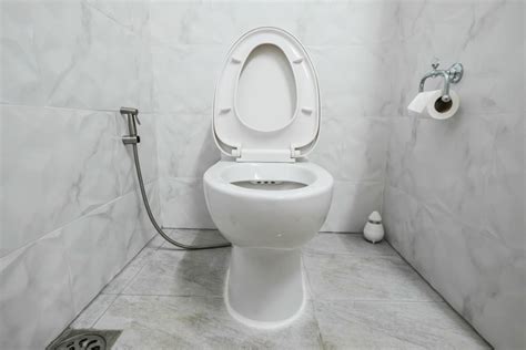 I Purchased The Tushy Classic Installable Bidet Reviewed