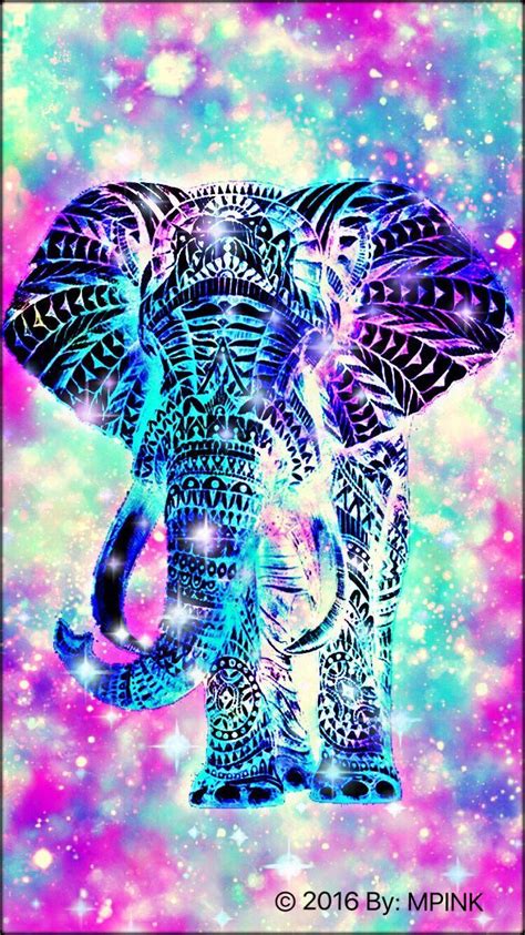 Cool Elephant Wallpapers Top Free Cool Elephant Backgrounds