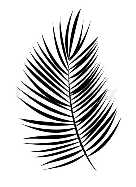 Palm leaf wall art, palm leaves print, black and white palm tree photo, palm photography printable tropical art minimalist poster wall decor. Palm Leaf Vector Background Isolated Illustration EPS10 | Stock Vector | Colourbox