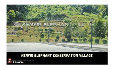 הצג את כל שעות הפעילות. KENYIR ELEPHANT CONSERVATION VILLAGE (KECV) - BLOG MUMMY IDA