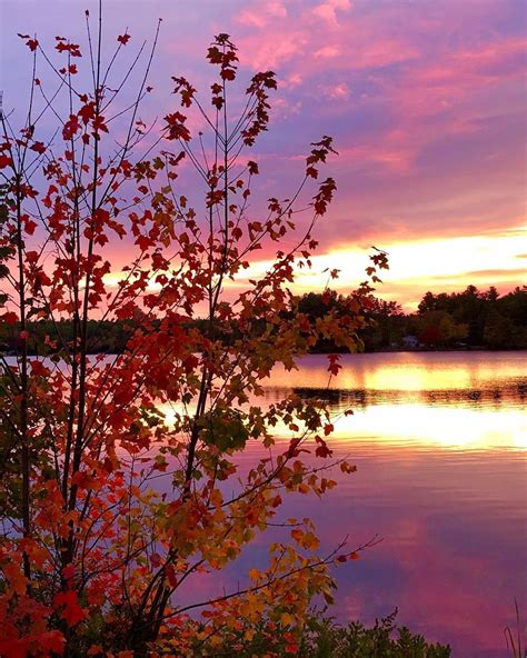 Pretty Sunset Tonight ️ Sunset Fall Autumninnewengland Autumn Lake