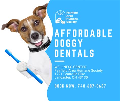 What is a deep cleaning? Fairfield Area Humane Society - Lancaster, Ohio 43130