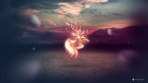 Fantasy Deer Hd Wallpaper By Spindle