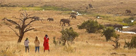 Masai Mara The Luxury Safari Company
