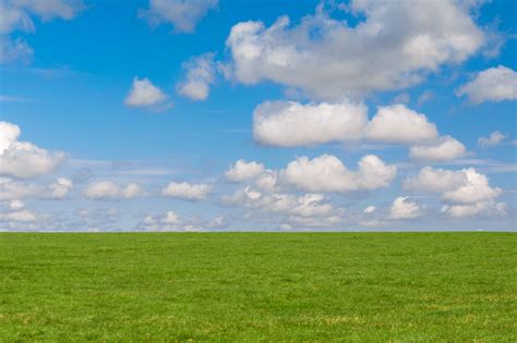 Grass And Sky Background Free Stock Photo Public Domain Pictures
