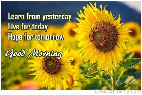 Share the best gifs now >>>. Learn From Yesterday Good Morning - DesiComments.com