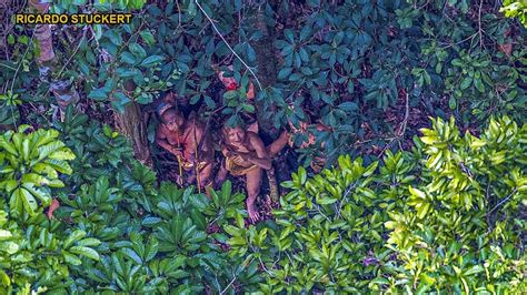amazon massacre members of uncontacted tribe killed by miners reports say fox news
