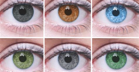 Los 6 Compañeros Perfectos De Cama Que Podrías Tener Según El Color De Tus Ojos