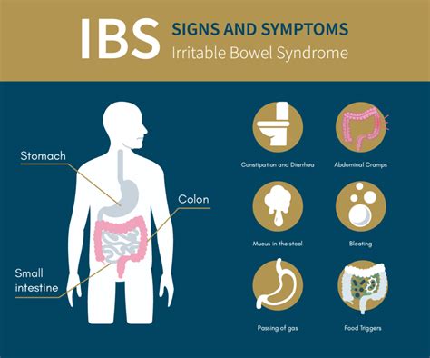 Ibs Symptoms And Causes Brownploaty
