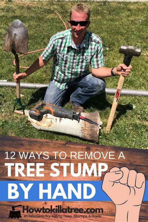12 Ways To Remove A Tree Stump By Hand Backyardables Tree Stump