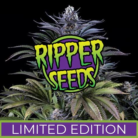 Ripper Seeds Limited Edition Dosidos X Zombie Kush 3 Fem Pack