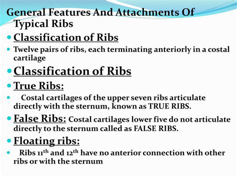 Ppt General Features And Attachments Of Typical Ribs And Atypical Ribs