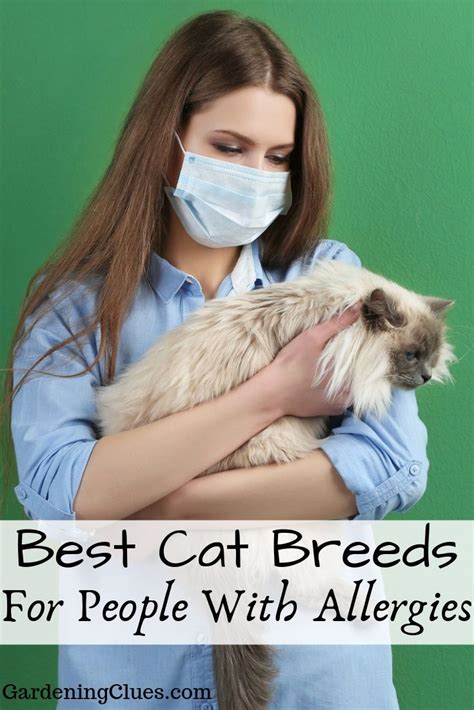 We did not find results for: As it turns out, with the exception of severe allergies ...