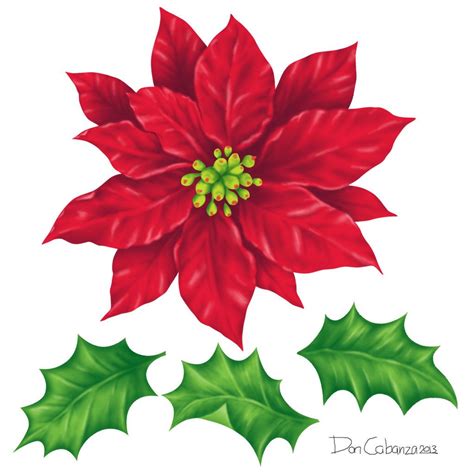 Poinsettia And Holly Leaves Design Components By Doncabanza On