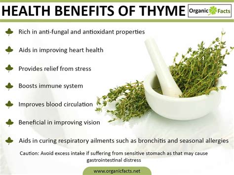 Health Benefits Of Thyme Nikki Kuban Minton