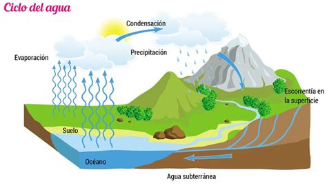 Ciclo Biogeoquimico Del Agua
