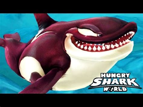 Has the highest health beside !! tier sharks. Hungry Shark World - New Playable !! Killer Whale - YouTube