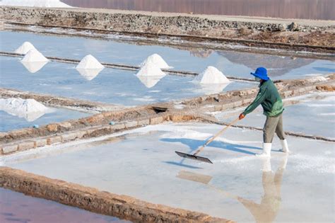 Salt Making In Vietnam Editorial Stock Image Image Of Hard 250448474