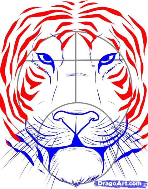 How To Draw A Tiger Face Step 5 Tiger Face Drawing Tiger Drawing