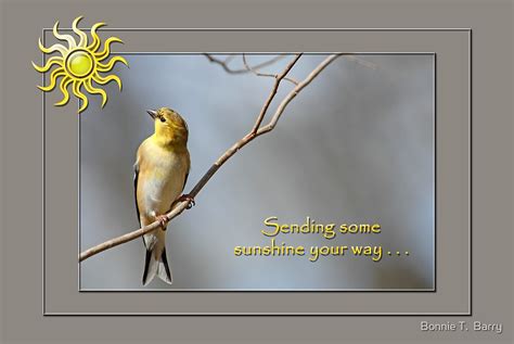 Sending Some Sunshine Your Way By Bonnie T Barry Redbubble