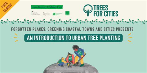 Free Tree Training An Introduction To Urban Tree Planting Trees For Cities