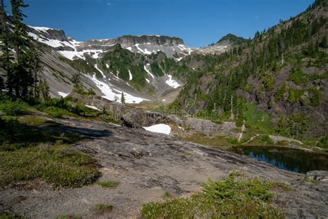 Heather Meadows Area Of Mt Baker Wilderness In Washington State Usa