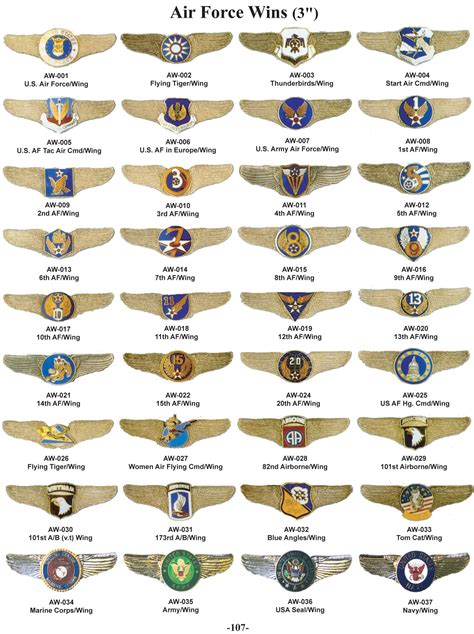 United States Air Force Wings Military Insignia Military Ranks