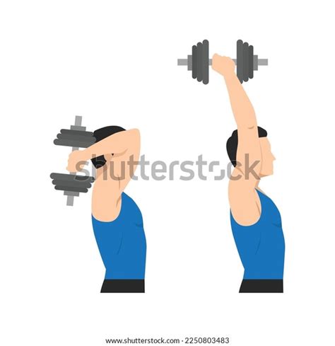Man Doing Dumbbell Overhead Triceps Extension Stock Vector Royalty Free 2250803483 Shutterstock