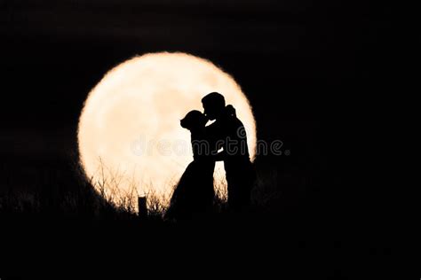 113 Moonlight Kiss Stock Photos Free And Royalty Free Stock Photos From