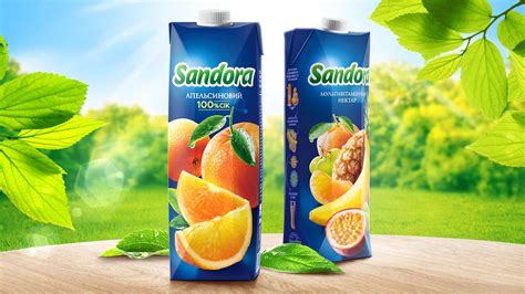 Дизайн упаковки для украинского бренда соков Sandora