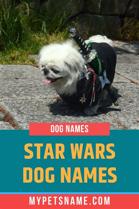 Star Wars Dog Names Dog Names War Dogs Dogs