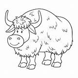 Yak Coloring Clipart Illustration Drawing Webstockreview Station sketch template