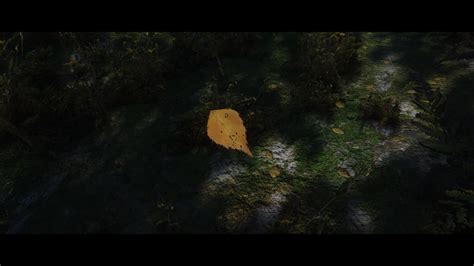 Rudy Hq Falling Leaves And Needles Se モデル・テクスチャ Skyrim Special