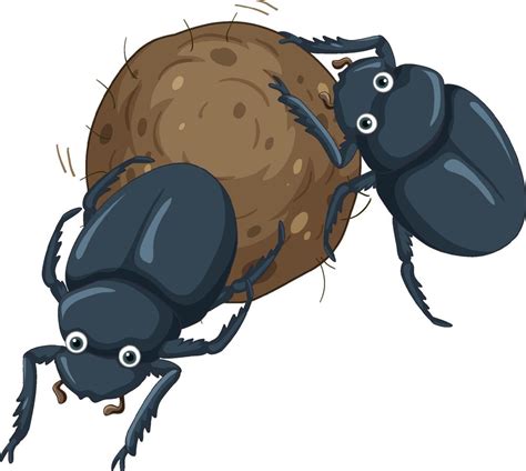 A Dung Beetle Cartoon Character 6581243 Vector Art At Vecteezy