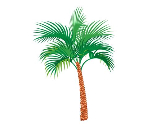 Palm Tree Graphics Palm Tree Open Clipart Clip Art Library