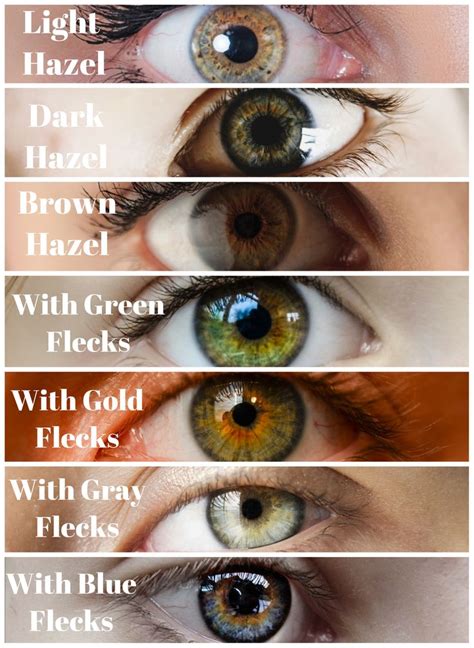 Dark Hazel Eyes Hazel Eyes Hair Color Hair Colour For Green Eyes