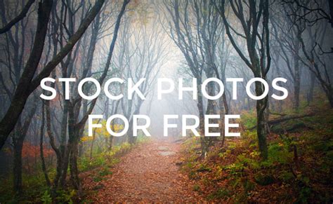 40 Sites With Amazing Free Stock Photos