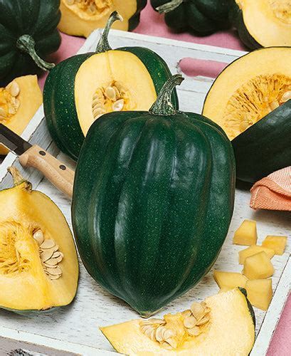 Bush Table King Acorn Winter Squash Victory Seeds Victory Seed Company