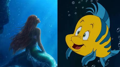 See It Newly Surfaced Fan Artwork Reimagines Flounders Look In The Live Action Little Mermaid