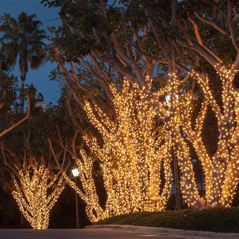 Best Way To Put Christmas Lights On Outside Tree Christmas