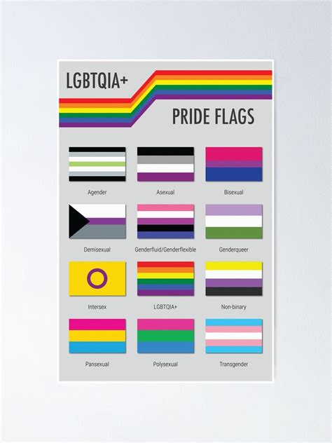 Lgbtqia Pride Flags Poster For Sale By Babybigfoot Redbubble