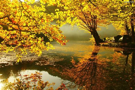 Jezioro Jesień Drzewa Na Pulpit