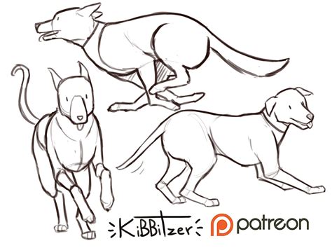 Dogs Reference Sheet Preview Kibbitzer Drawing Reference Poses